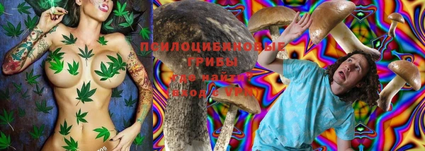 прущий лед Белокуриха