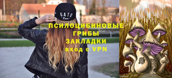 прущий лед Белокуриха