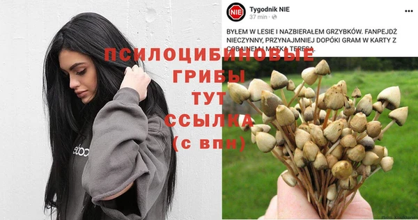 прущий лед Белокуриха