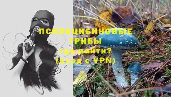 прущий лед Белокуриха