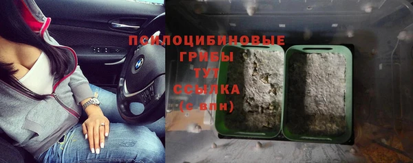 прущий лед Белокуриха