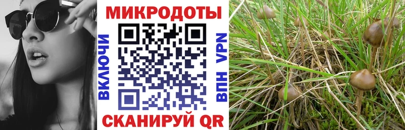 Псилоцибиновые грибы ЛСД  как найти   Мглин 